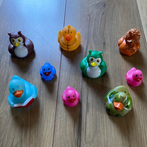 Ducks - Picture 1 of 3